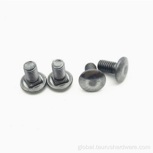 Galvanized Carriage Bolt Round head square neck bolt Supplier